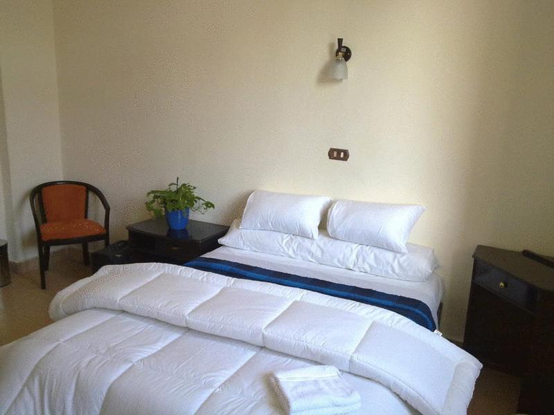 Transit Alexandria Hostel Экстерьер фото