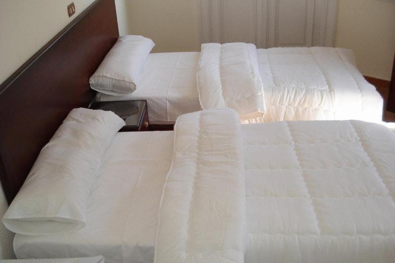 Transit Alexandria Hostel Экстерьер фото